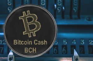 Bitcoin Cash (BCH) rises above $300 after the recent downturn – Is $375 plausible right now?