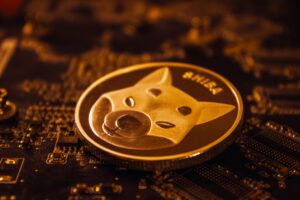 Shiba Inu (SHIB) could hit yearly lows with a 25% drop – How should you play this out?