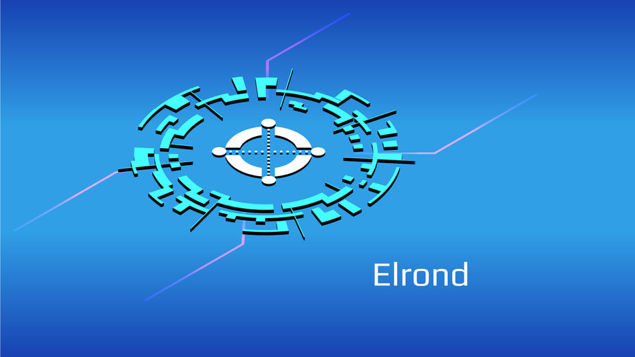 You can now buy Elrond, which added a tenth to its value: here’s where