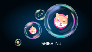 Shiba Inu (SHIB) could double your money in the near term – Here is why