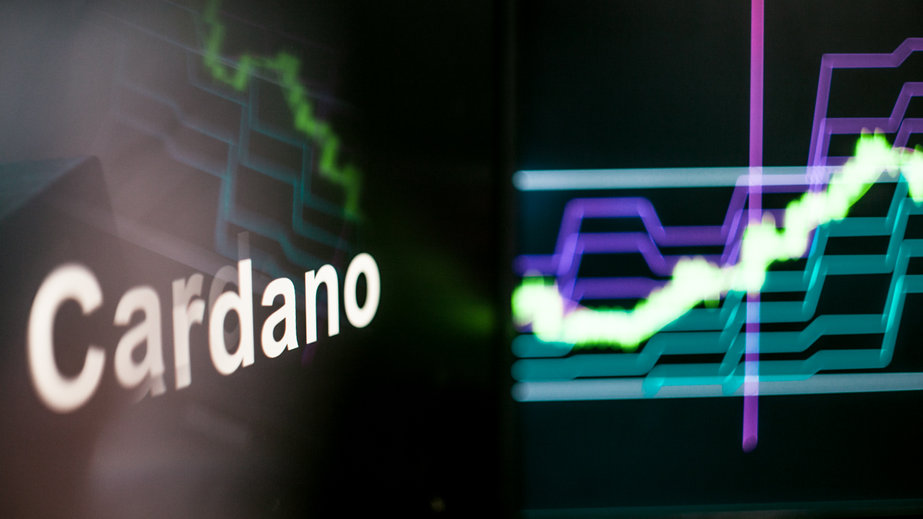 Cardano price prediction: 2 reasons why ADA is plummeting