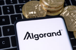 The bear market will probably last at least through 2022, says Algorand Foundation CEO