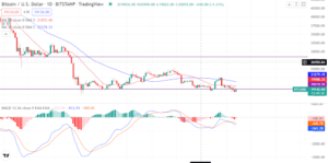 Bitcoin attempts recovery after rate hike scare. Should you buy it?