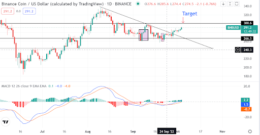 What’s the bullish case for BNB as token initiates recovery?