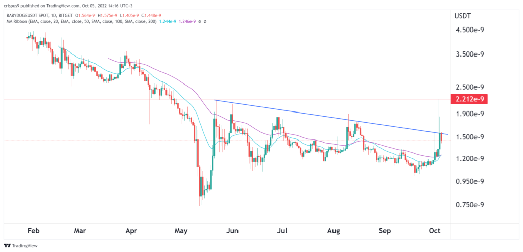 Is the Baby Doge a good buy in October?