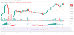 Bitcoin fails to move towards the $21,368 resistance level: Will it dip soon?