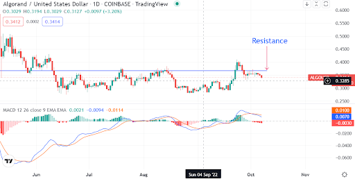 Algorand touted as a crypto to watch in the next bull cycle, but how attractive is it?