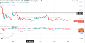 Where will the next Cardano bull run come from? Analyst answers