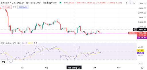 Bitcoin slides to $19K amid a key bullish indicator, according to a renowned economist