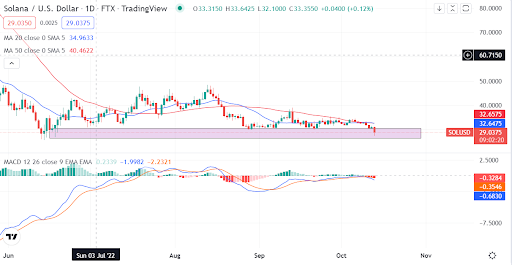 Solana price movement amid 6% bear run