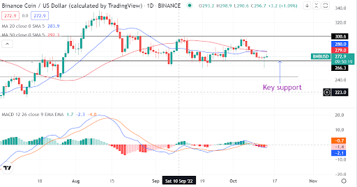 BNB defends $267 support. Should you buy it?