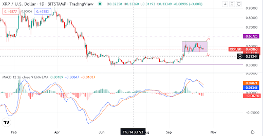 Ripple’s XRP price maintains a choppy movement. What’s going on?