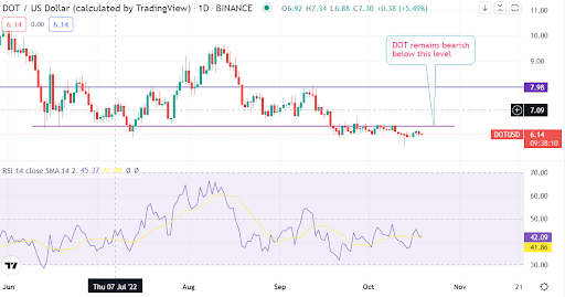 Have bears hit bottom for Polkadot?