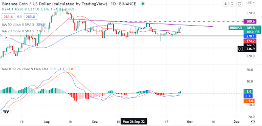 BNB remains on course to $300 as buyers gather momentum. But…