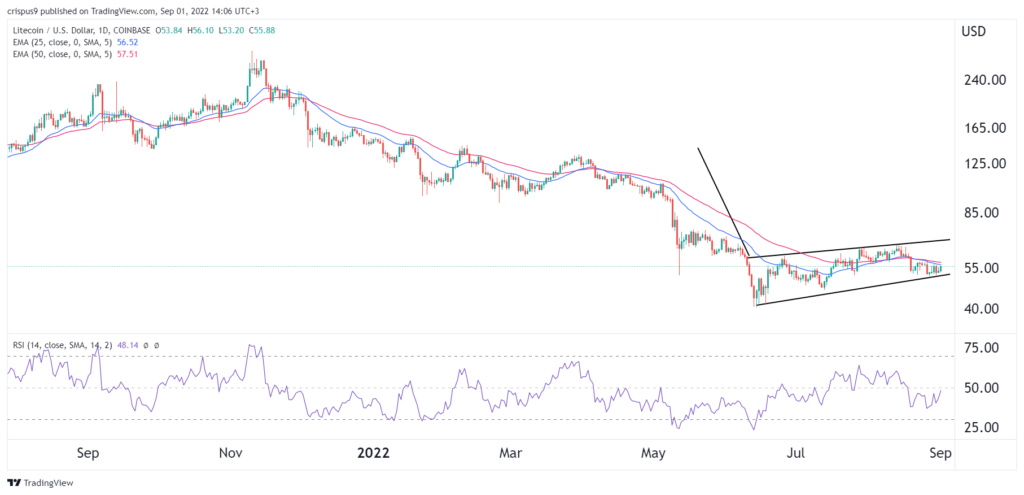 Litecoin price prediction: LTC could crash to $40 in September