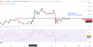 Crypto pundit thinks Ripple will lose against the SEC. Here is how XRP is behaving