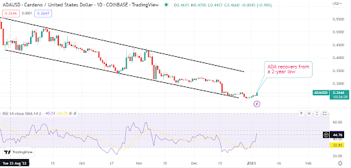 Cardano gives early signals of a rally. Is this a good opportunity?