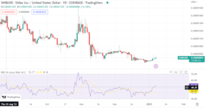 Shiba Inu’s whale buying intensifies but does price action show it?