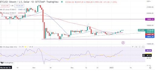 Bitcoin could tank further but you might be excited by this Bloomberg prediction