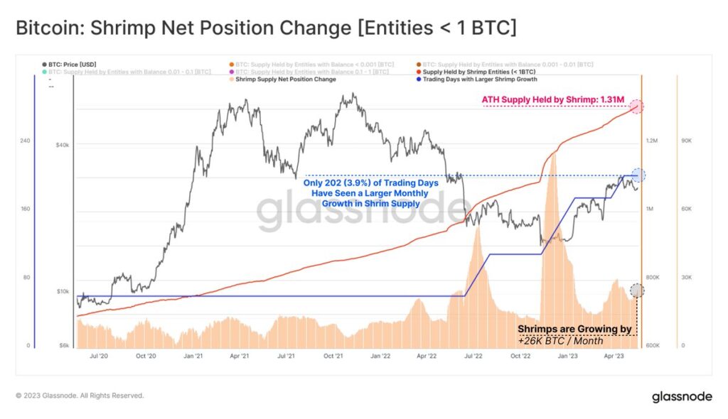 Bitcoin supply held by shrimps hits all-time high of 1.31 BTC