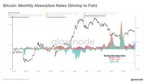 Bitcoin holders with 100 BTC or less scooped 254% of mined supply last month: Glassnode