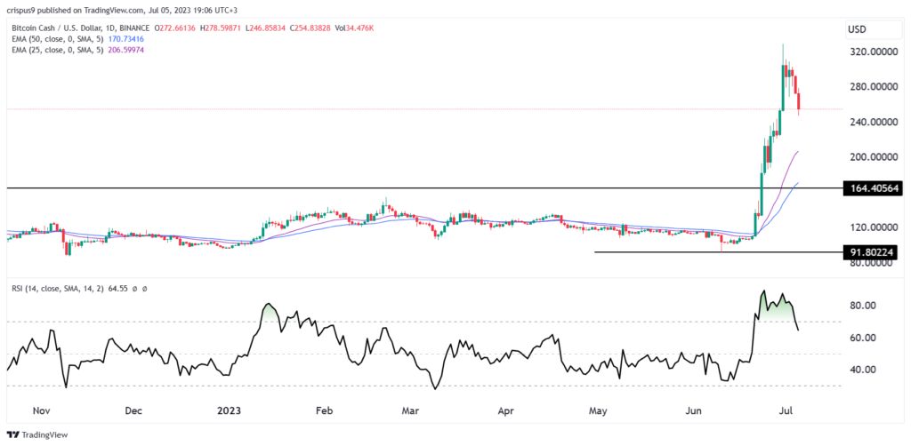 Bitcoin Cash price moved to a bear market: Buy the dip?