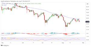 Litecoin shrimps capitulate as LTC declines